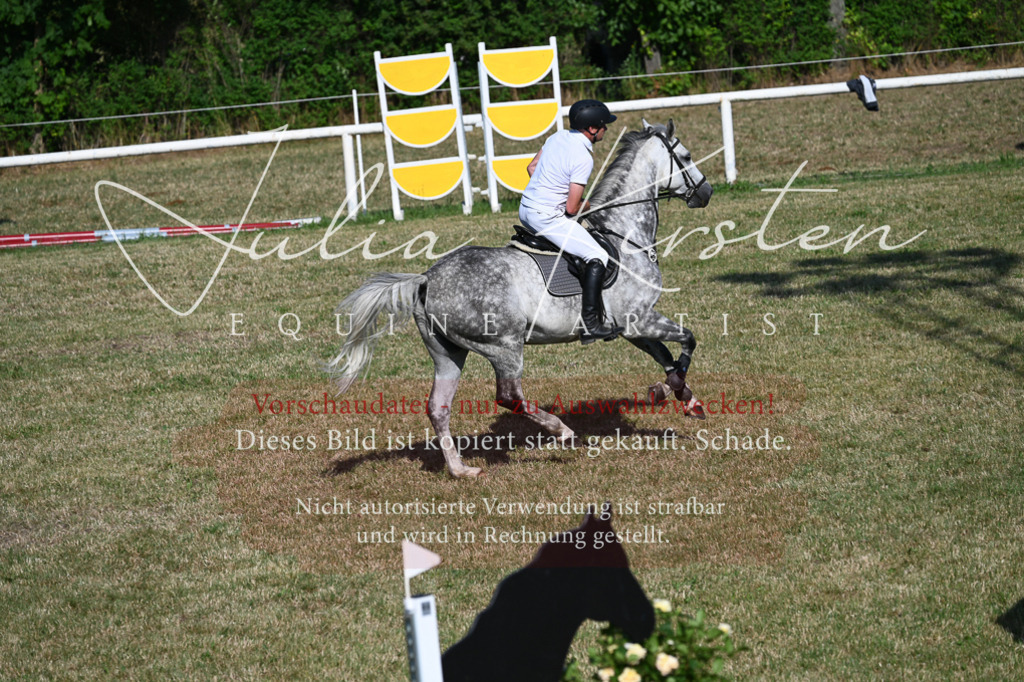 DSC_2576 | Pferde- und Turnierfotografie in Westsachsen. Pferdeportraits, Auftragszeichnungen und intuitive Kunst.