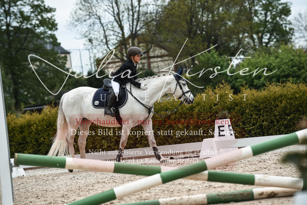 20230518_JK-Röhrsdorf-10-524 | Pferde- und Turnierfotografie in Westsachsen. Pferdeportraits, Auftragszeichnungen und intuitive Kunst.