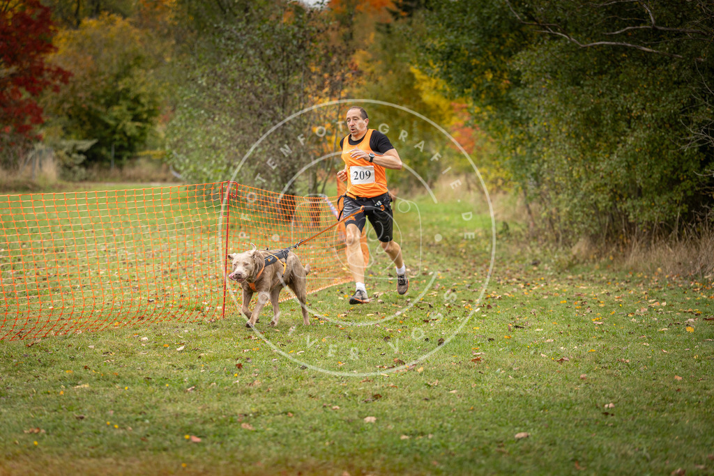 Pfotenfotografie_DV3A3992 | Hundefotografie, Tierfotograf, Pfotenfotografie, Fotoshooting Hund, Hunde Portrait, Hundesport, Hundeportraits, Heideshooting, Hunde, Sportfotograf, Hundefotograf, Turnierhundsport, THS,  - Realisiert mit Pictrs.com