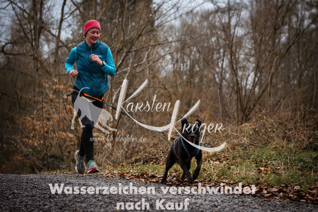 1053_ZZ97852 | kk-dogfotos