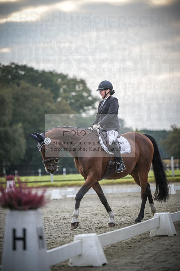 DOS_1214 | Entdecke hochwertige Reitturnierfotos von Foto Oger. Professionell, emotional und authentisch – jetzt Lieblingsmomente im Shop bestellen.Deutschlandweite Turnierfotografie. - Realisiert mit Pictrs.com