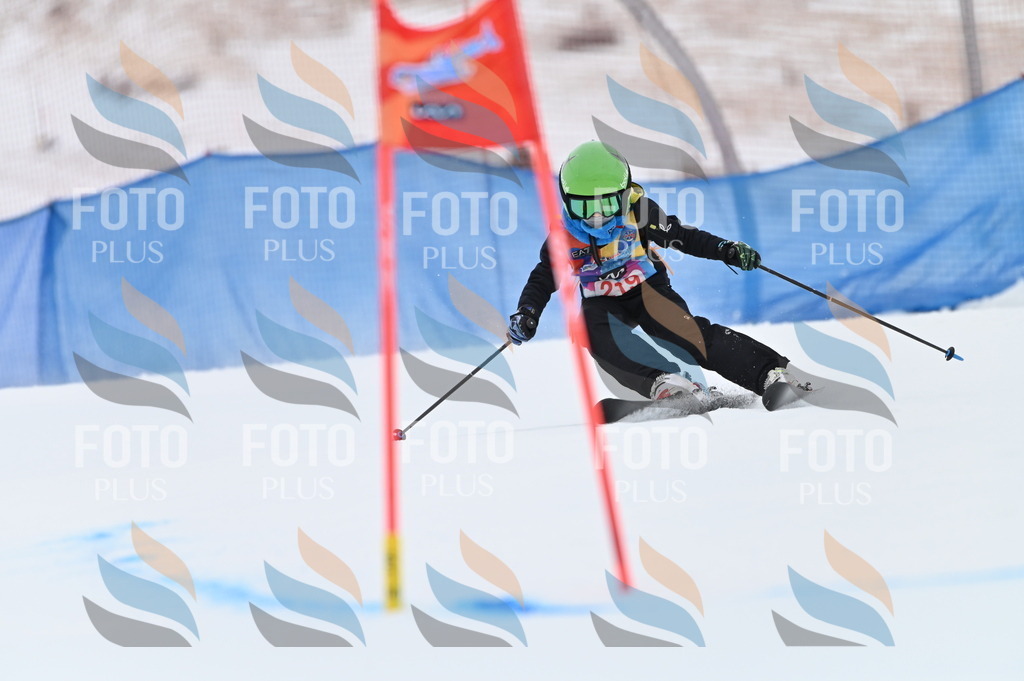 BGV_2974 | holidayphoto