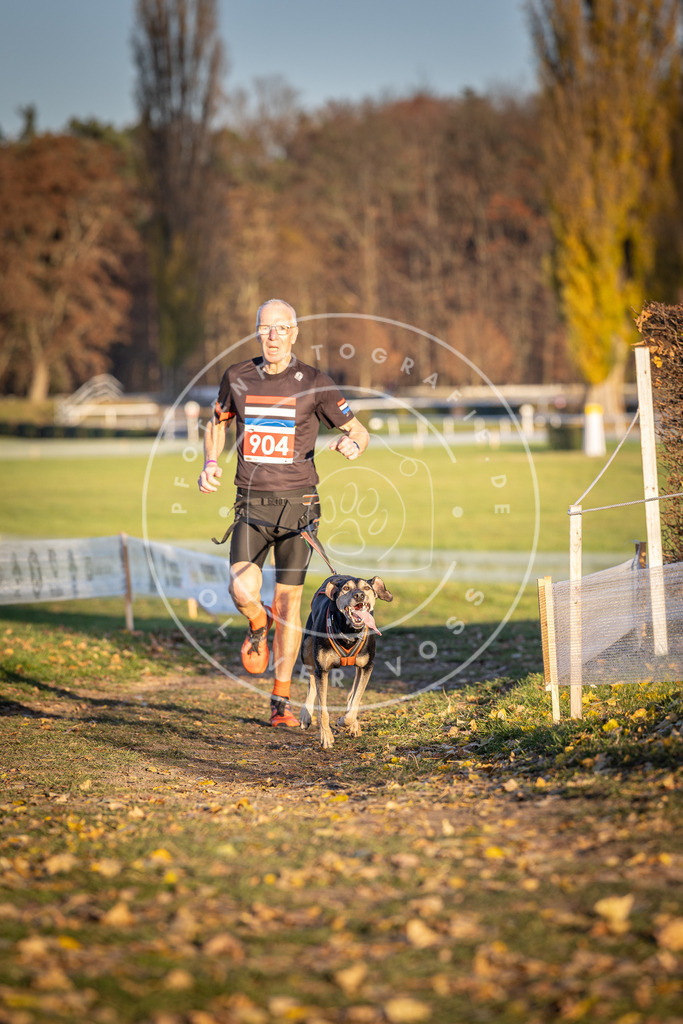 CaniXpix_DV3A4682 | Hundefotografie, Tierfotograf, Pfotenfotografie, Fotoshooting Hund, Hunde Portrait, Hundesport, Hundeportraits, Heideshooting, Hunde, Sportfotograf, Hundefotograf, Turnierhundsport, THS,  - Realisiert mit Pictrs.com