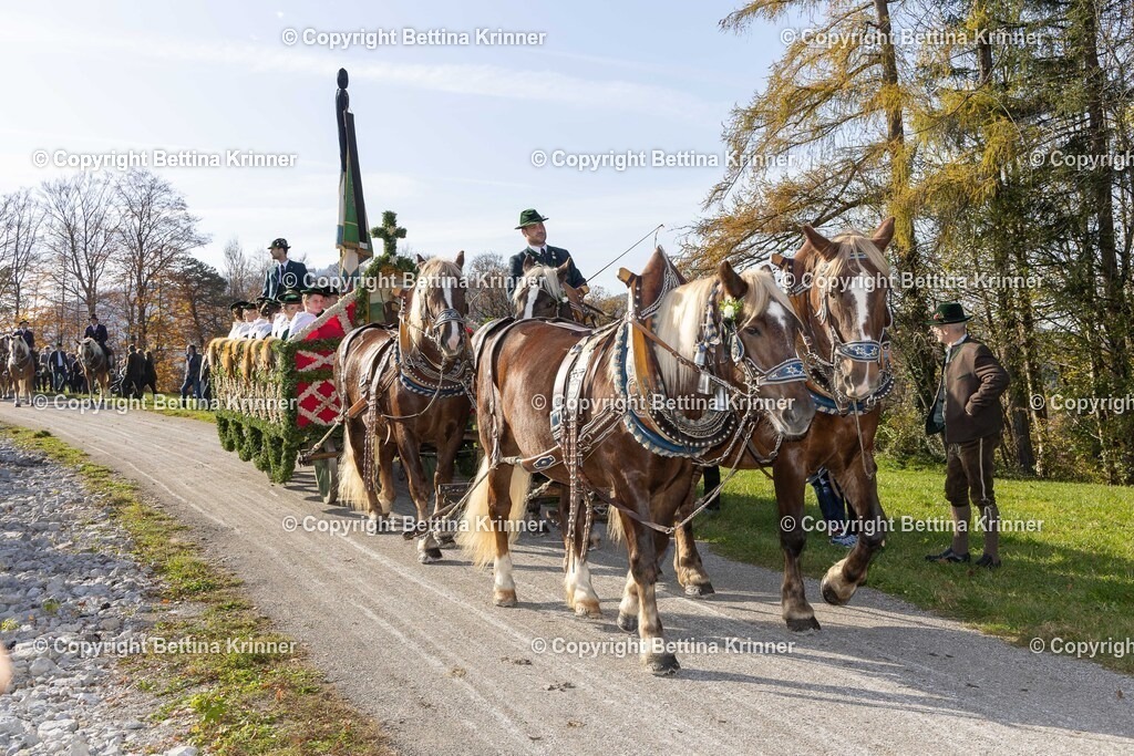 LBT24-1219 | foto-bettina-krinner - Realisiert mit Pictrs.com