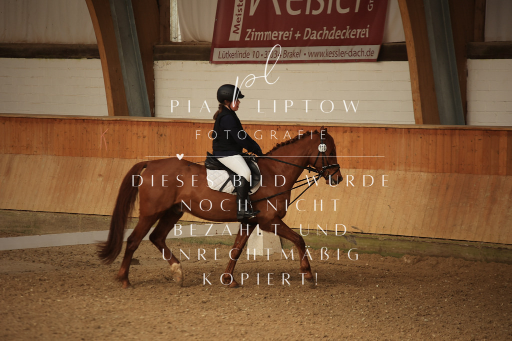 IMGT5479 | pl-fotografie