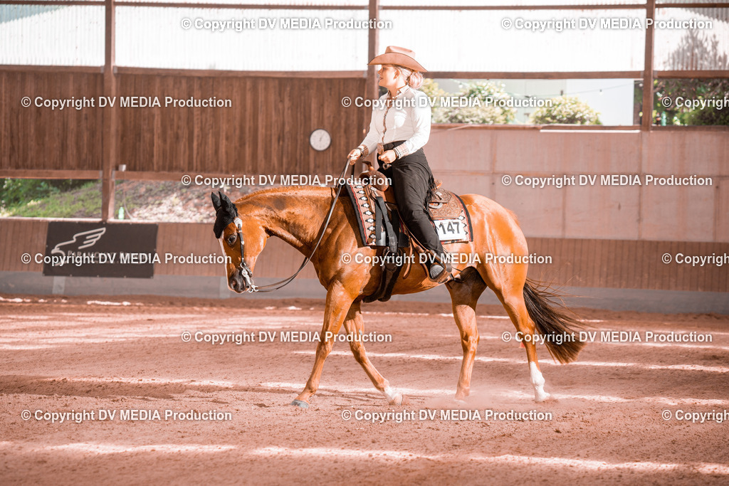 NE300636 | dv-media-shop - Realisiert mit Pictrs.com