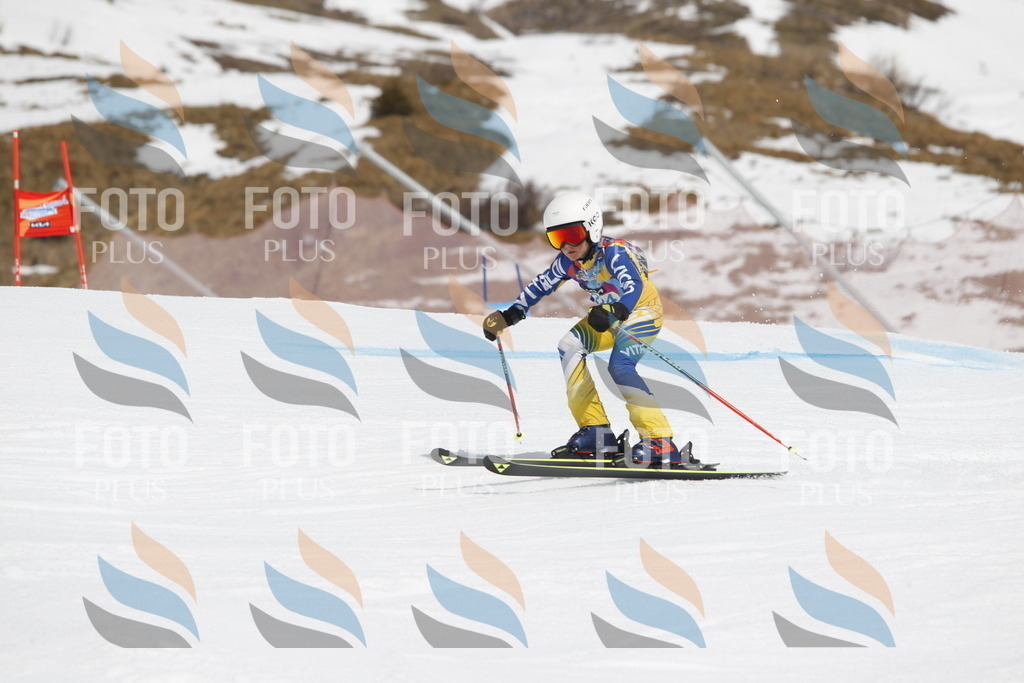 _U3G2439 | holidayphoto