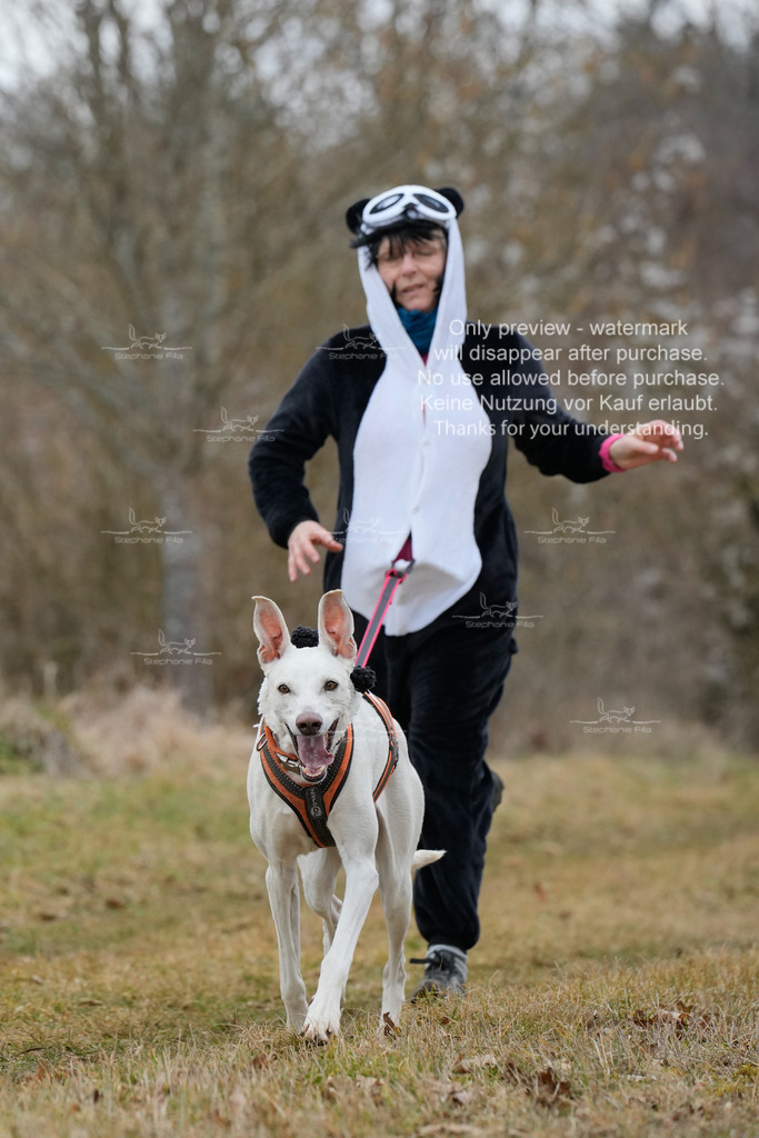 Fasching-69 | stephaniefillaphotographie - Realisiert mit Pictrs.com