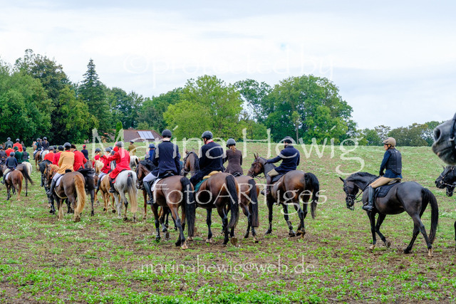 Jagd Perdoel 26 Fuji-9791_MarinaHewig | Fotografie, FotoArt, PferdesportArt, Pferdesportfotografie, Landschaftsfotografie, Reisefotografie, Reise, Pferde - Realisiert mit Pictrs.com