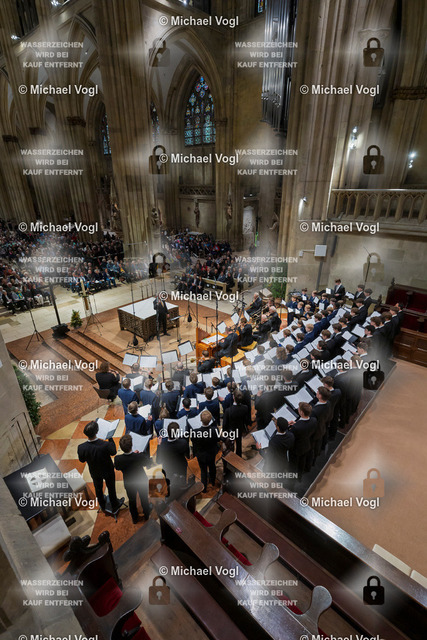 TAM25_K.01__Michael-Vogl_011_3635 | Tage Alter Musik Regensburg K.00 Dom St. Peter Regensburger Domspatzen La Cetra Basel (Schweiz) 1050 Jahre Regensburger Domspatzen 500. Geburtstag Giovanni Pierluigi da Palestrina Leitung Christian Heiß Foto: Michael Vogl