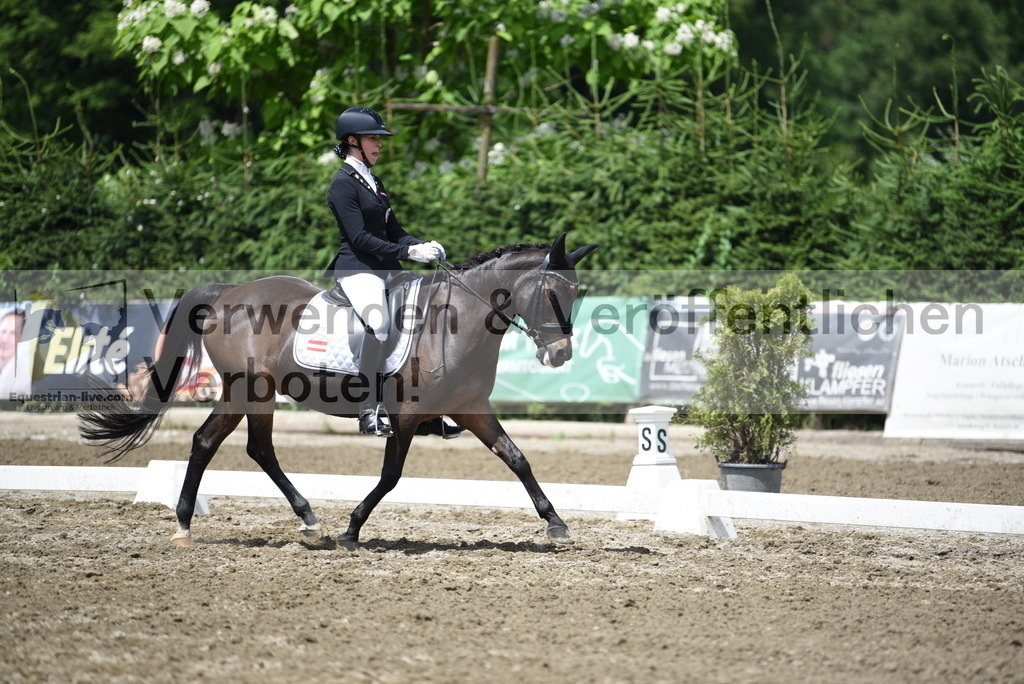 DSC_1381 | equestrian-live-com