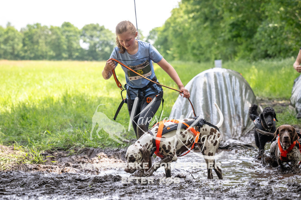 1228_ZZ92489 | kk-dogfotos