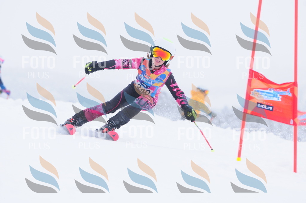 C2517 | holidayphoto