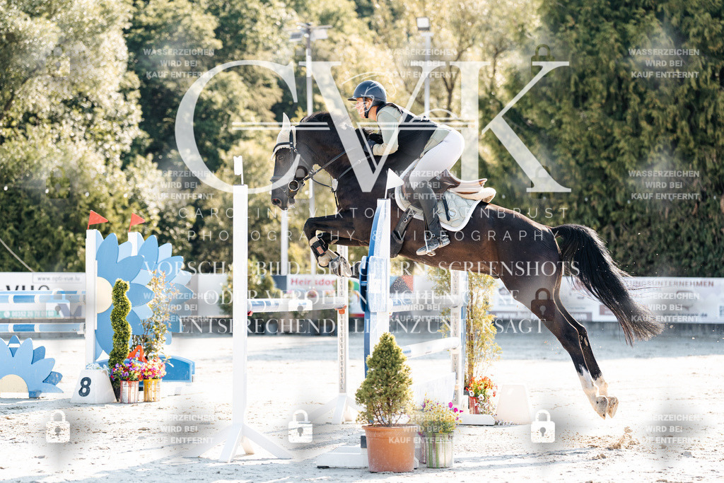 CK901654 | Turnierfotografie Pferdefotografie Trier Rheinland-Pfalz Pferdesport Reitsport Tierfotografie Sportfotografie Pferdevideo Pferdevideografie Equestrianvideography equestrianphotography  - Realisiert mit Pictrs.com