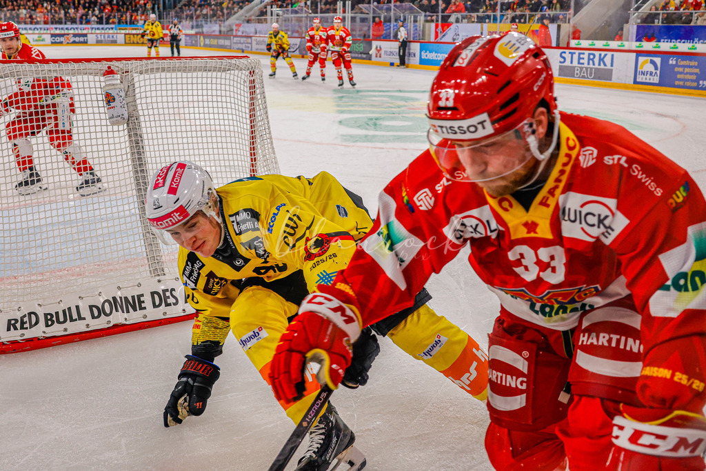 EHCB vs SCB 20260110_wb-3633 | Sportbilder, Sportfotograf, Hochzeits- und Eventfotografin, Flugshows, Portraits und Tiershooting, Aviation, Downhill, Nationalleague, Swissleague, International