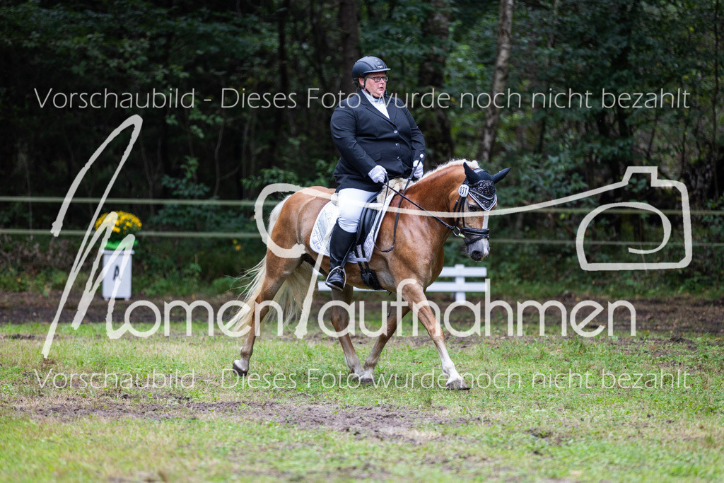 HB-A-Dressur-128 | MomenTaufnahmen Pferdesportfotos