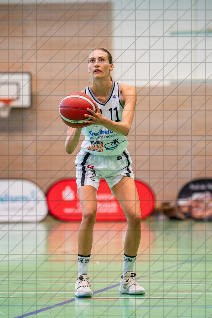 @Martin König_20240901__DSC7366 | bullenfotos|de - Realisiert mit Pictrs.com