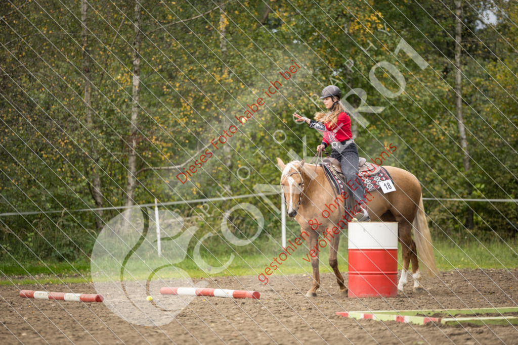CON_0629 | Sport-, Event- und Tierfotos in Profiqualität. Einfach auswählen, bestellen und herunterladen. Dein Moment – perfekt festgehalten.