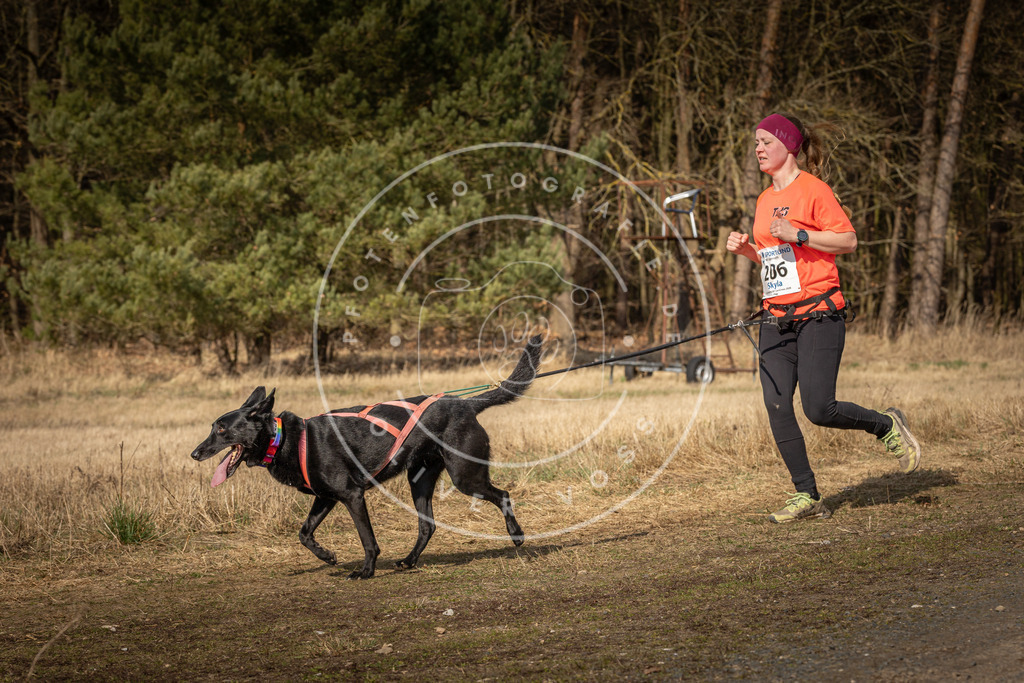 DV3A5838 | Hundefotografie, Tierfotograf, Pfotenfotografie, Fotoshooting Hund, Hunde Portrait, Hundesport, Hundeportraits, Heideshooting, Hunde, Sportfotograf, Hundefotograf, Turnierhundsport, THS,  - Realisiert mit Pictrs.com