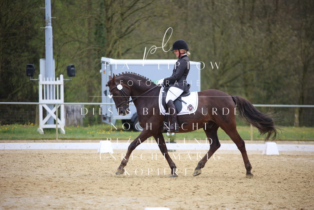 IMGT5965 | pl-fotografie