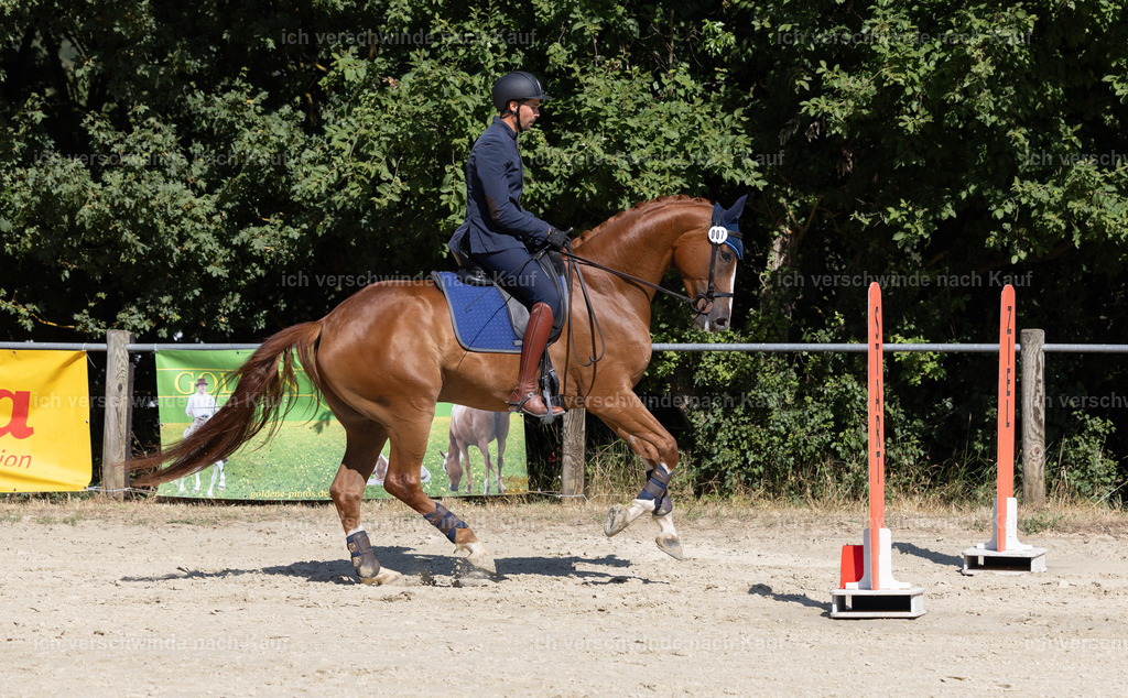 WA_Trail_7_KerstinBernhardt-2 | working equitationturnier fotograf videograf stoibphotography marixx film working equitation deutschland reitsport turnierfotografie eventfotografie equestrian events