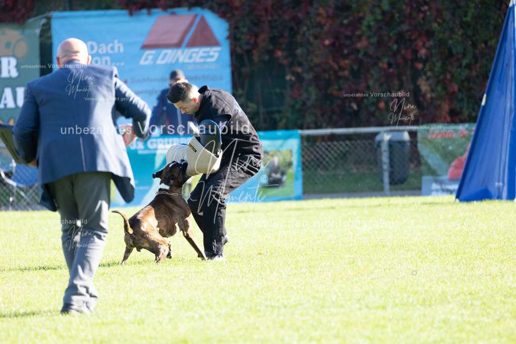 _16A5033 | Einzigartige Fotos von Hunden & Menschen –Actionfotos, Portraits, Vereinsaufnahmen & Paarshootings – authentisch, lebendig & mit Herz.
