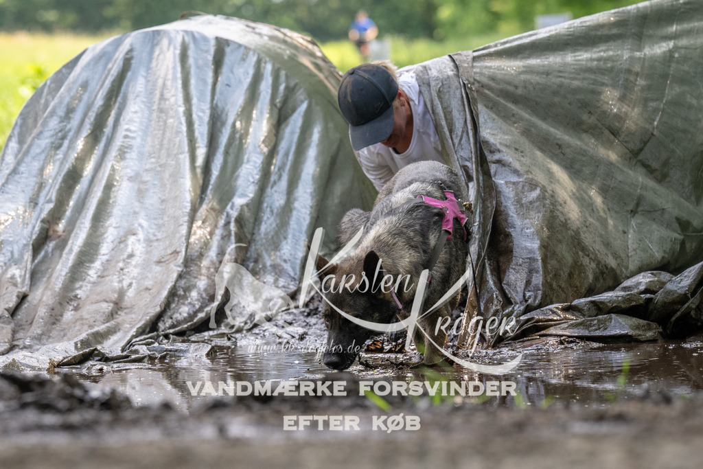 1215_ZZ91892 | kk-dogfotos