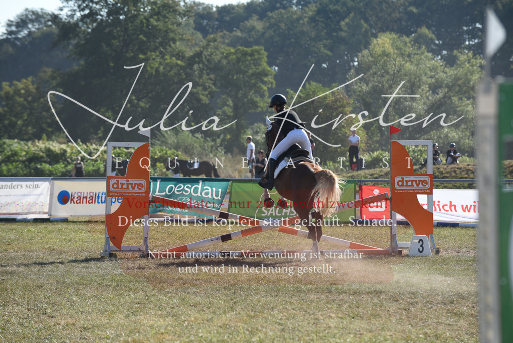 DSC_5826 | Pferde- und Turnierfotografie in Westsachsen. Pferdeportraits, Auftragszeichnungen und intuitive Kunst.