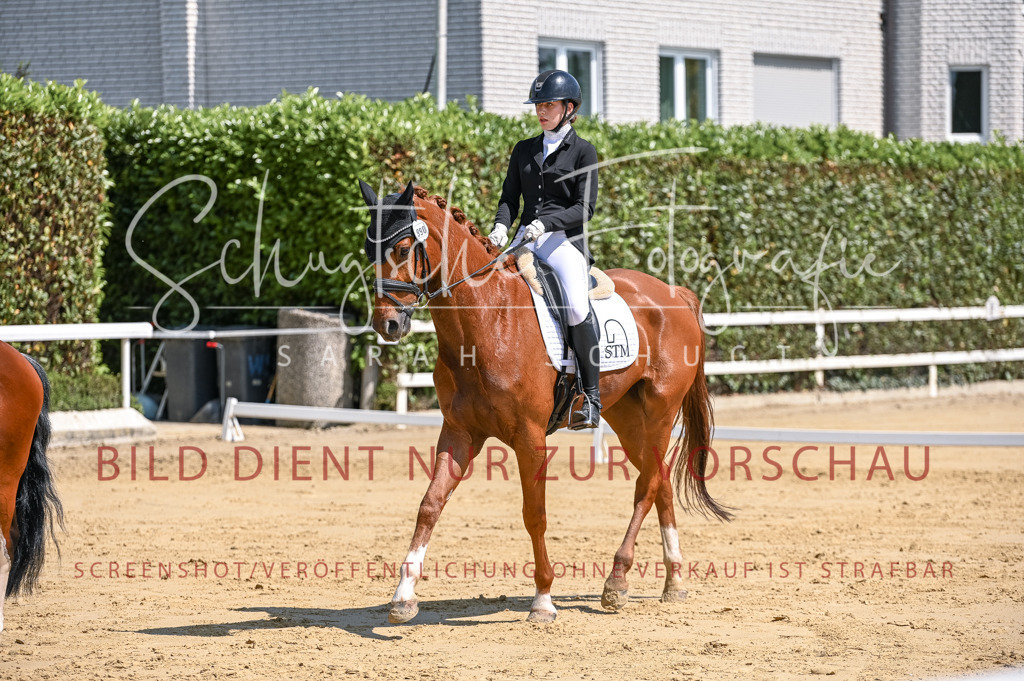Schugtsche-Aluta25-53.Amat.Dressurprf.A2-148 | Schugtsche Fotografie - Realisiert mit Pictrs.com