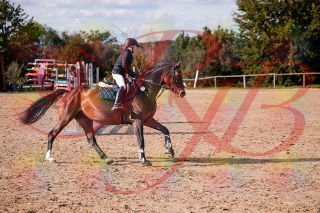 2026_10_03_Siefer-Hof_155952_Z81_80272093 | Professionelle Reitsport-, Turnier- und Eventfotografie von Robert Broda. Galerien mit ausgewählten und bearbeiteten Bildern direkt online ansehen und bestellen.