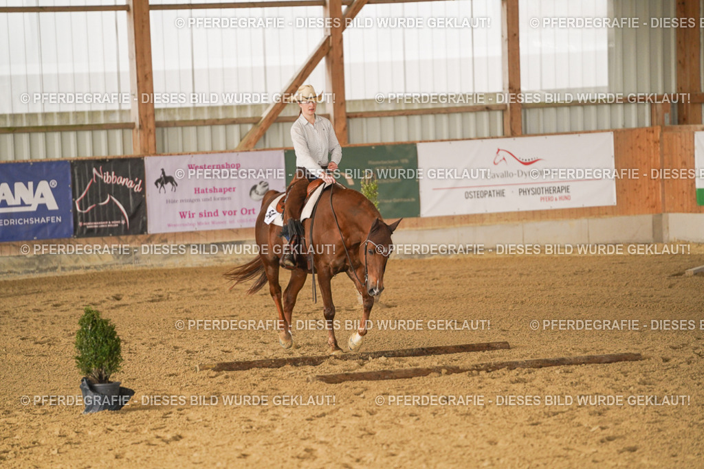 DSC01570 | Pferdegrafie