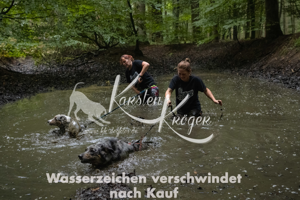 0939_ZZ91038-Bearbeitet | kk-dogfotos