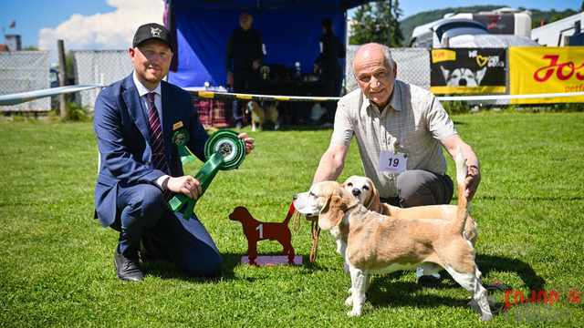 Beagle Club Schweiz  | Beagle Club Schweiz, 45 Jahre in Menziken 2025 Foto: Leo Wyden
