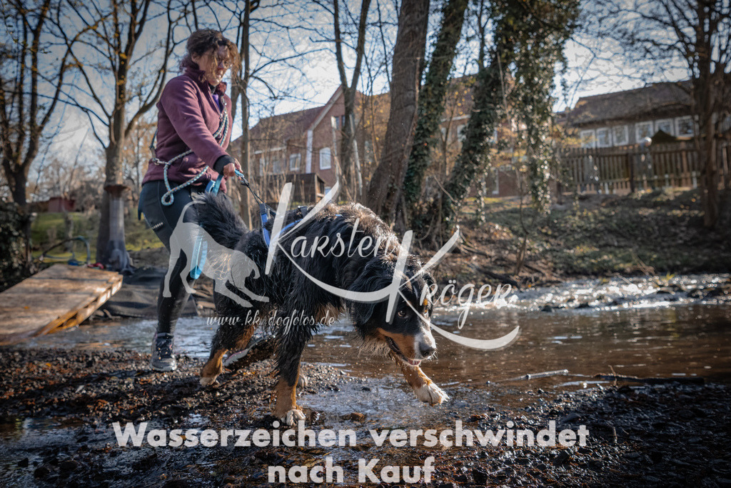 0827_ZZ90812 | kk-dogfotos