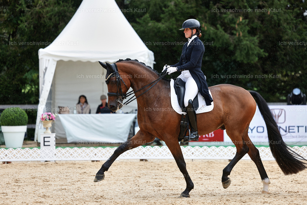 8_1-100-Klasse S_  -StoibPH-3878 | working equitationturnier fotograf videograf stoibphotography marixx film working equitation deutschland reitsport turnierfotografie eventfotografie equestrian events