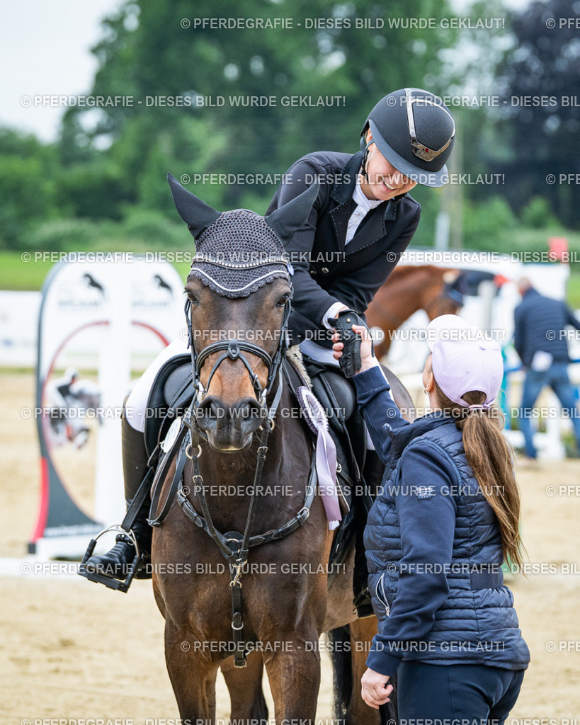 DSC03852 | Pferdegrafie