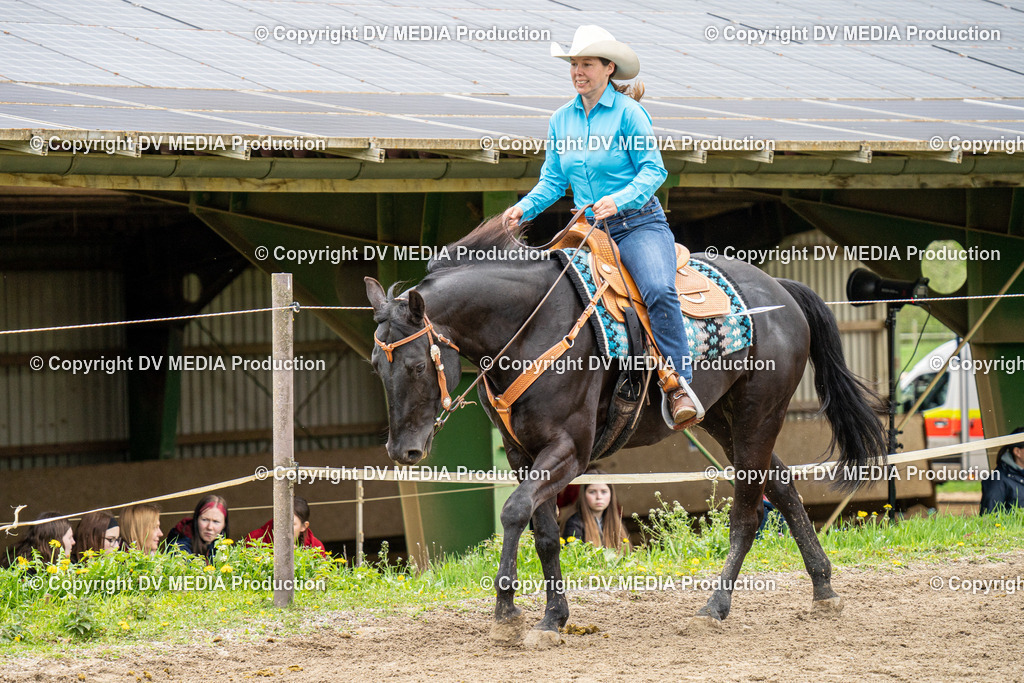 BAL00793 | dv-media-shop - Realisiert mit Pictrs.com