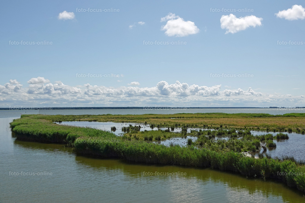 Bodstedter Bodden | foto-focus-online