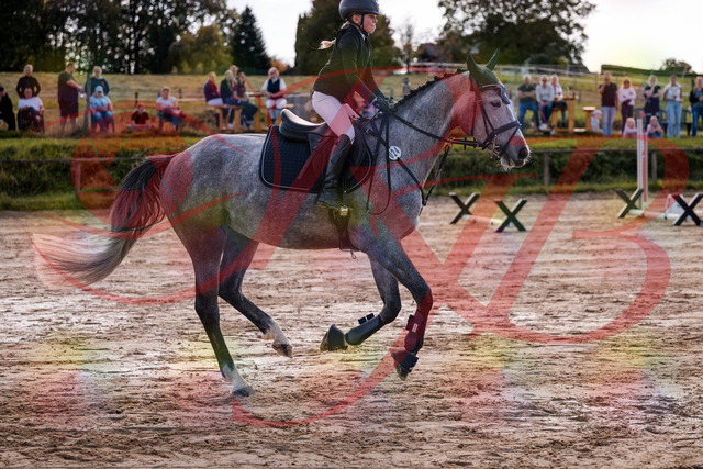 2026_10_03_Siefer-Hof_145055_Z81_29315008 | Professionelle Reitsport-, Turnier- und Eventfotografie von Robert Broda. Galerien mit ausgewählten und bearbeiteten Bildern direkt online ansehen und bestellen.