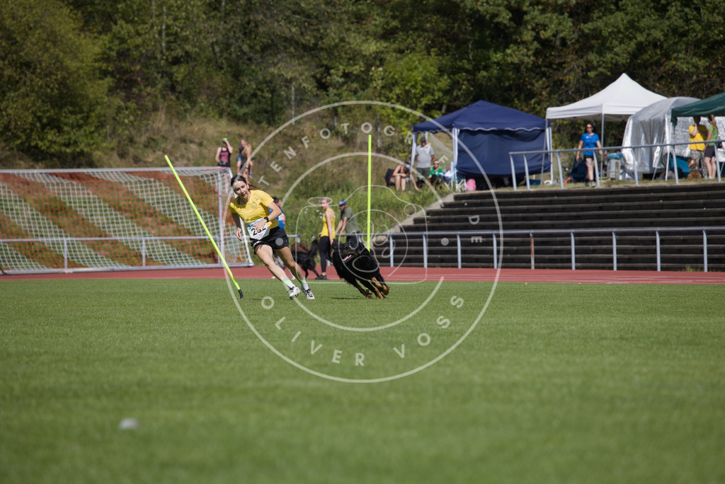 0L8A6844 | Hundefotografie, Tierfotograf, Pfotenfotografie, Fotoshooting Hund, Hunde Portrait, Hundesport, Hundeportraits, Heideshooting, Hunde, Sportfotograf, Hundefotograf, Turnierhundsport, THS,  - Realisiert mit Pictrs.com