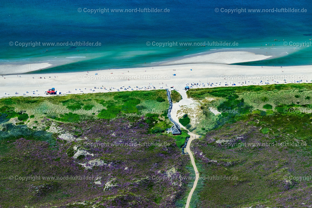 Sylt_Kampen_Strand_Laaning_Strandwirtschaft_ELS_4163130825 | KAMPEN (SYLT) 13.08.2025 Sandstrand- Landschaft entlang des Küsten- Verlaufes mit Strandtreppe in Kampen (Sylt) auf der Insel Sylt im Bundesland Schleswig-Holstein, Deutschland. // Beach landscape along the with Strandtreppe in Kampen (Sylt) at the island Sylt in the state Schleswig-Holstein, Germany. Foto: Martin Elsen