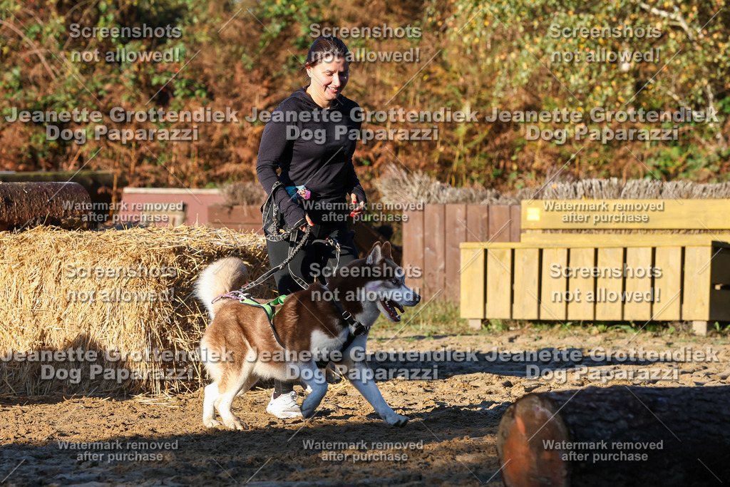 Dog Paparazzi - Strongdog 10-25-970 | Dog Paparazzi Jeanette Grottendiek Fotografie & Videografie - Realisiert mit Pictrs.com
