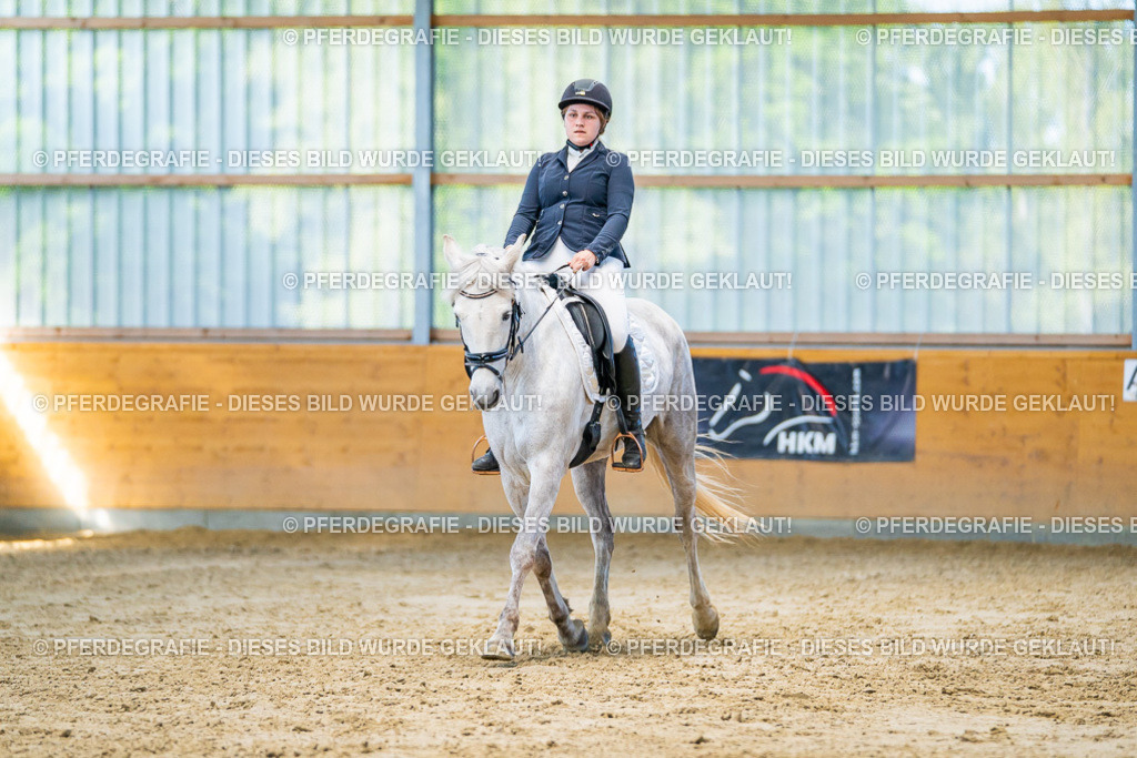 DSC06948 | Pferdegrafie