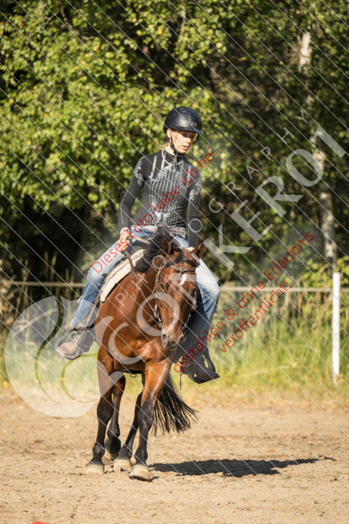IMG_6707 | Sport-, Event- und Tierfotos in Profiqualität. Einfach auswählen, bestellen und herunterladen. Dein Moment – perfekt festgehalten.
