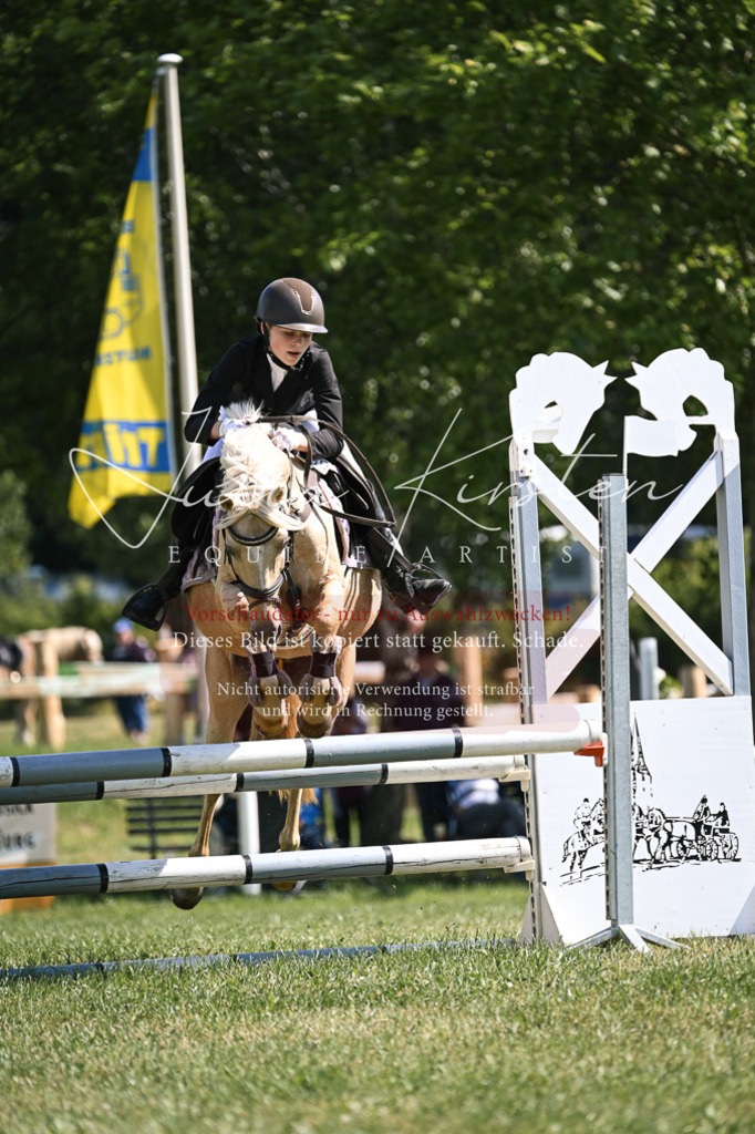 DSC_8828 | Pferde- und Turnierfotografie in Westsachsen. Pferdeportraits, Auftragszeichnungen und intuitive Kunst.