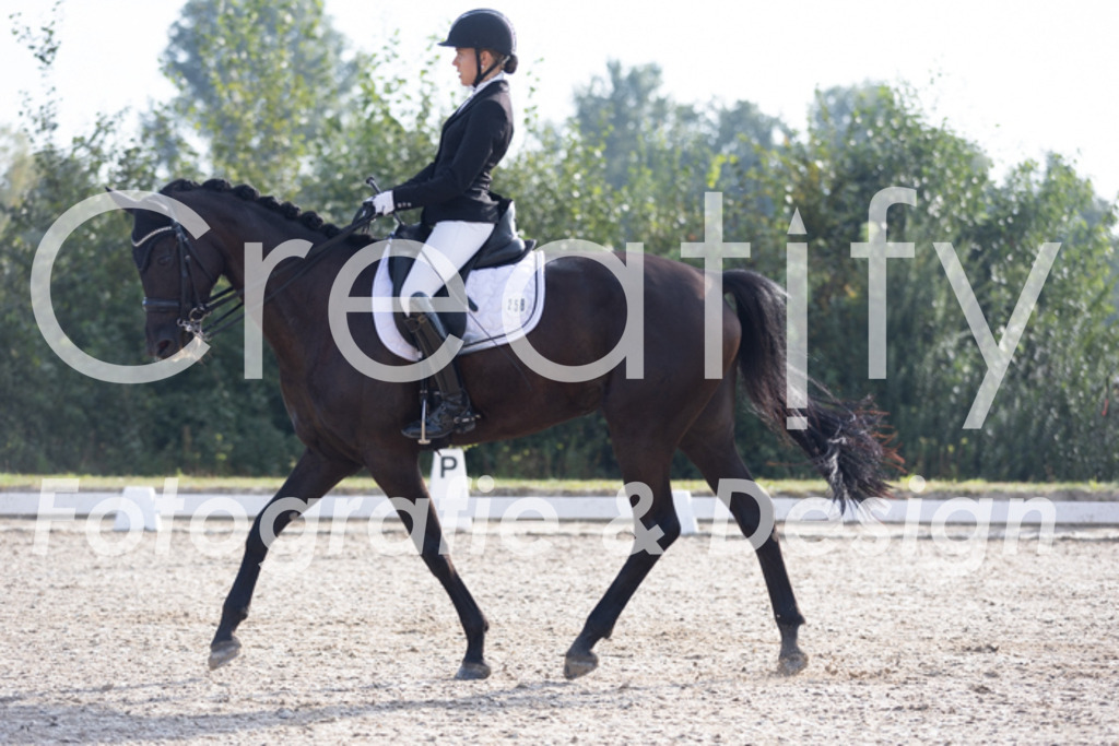 IMG_2055 | Creatify Fotografie