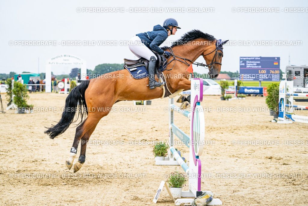 DSC07449 | Pferdegrafie