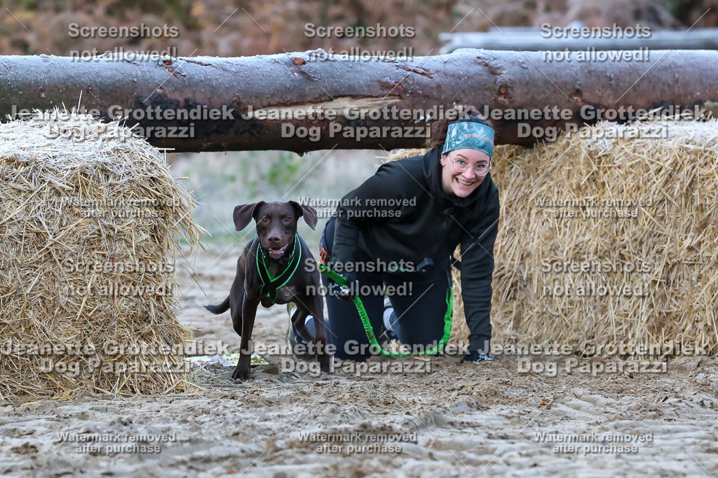 Dog Paparazzi - Strongdog 10-25-102 | Dog Paparazzi Jeanette Grottendiek Fotografie & Videografie - Realisiert mit Pictrs.com