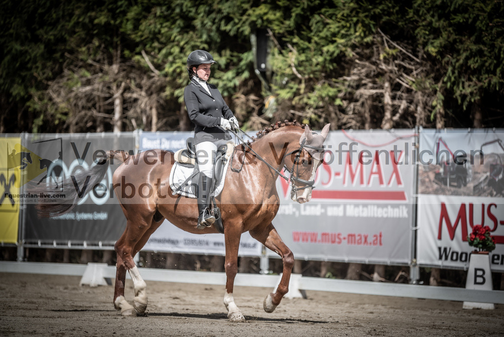 DSC_3013 | equestrian-live-com