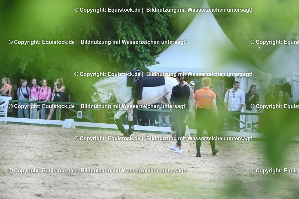 D78_3358 | equistock